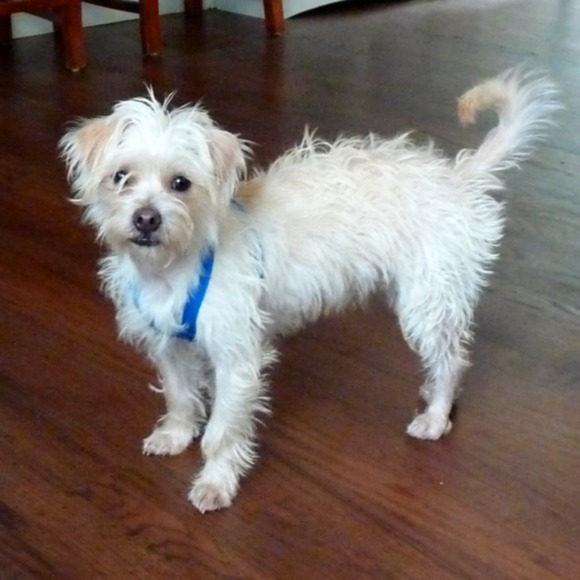 Meet your Posher, Marc - Picture 1 of 1